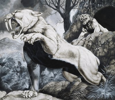 Šavlozubí tygři (kvaš na papíře) od Richard Hook
