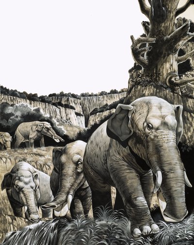 Podivný amebelodon od Richard Hook