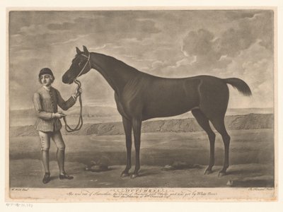 Racepaard se setkal s žokejem Holanďanka od Richard Houston