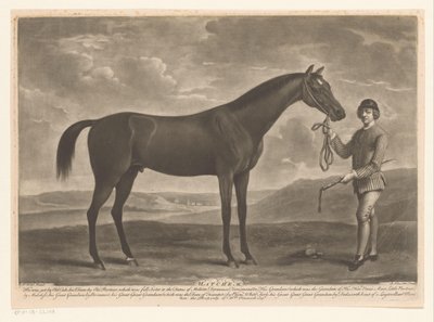 Racepaard se setkal s žokejem Matchem (název na objektu) od Richard Houston