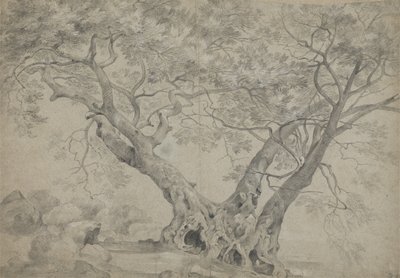 Arbra Sacra na břehu jezera Nemi, c.1754-56 (černá a bílá křída na papíře) od Richard Wilson