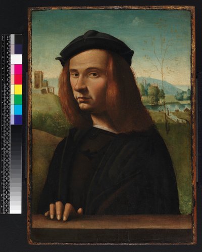Portrét mladého muže, 1500 od Ridolfo Ghirlandaio