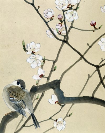 Bird - japonská kresba Riou Chim, konec 19. století od Riu Chim