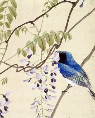 Bird - japonská kresba Riou Chim, konec 19. století od Riu Chim