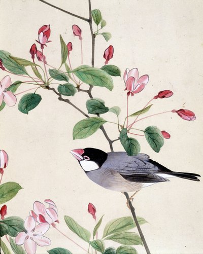 Bird - japonská kresba Riou Chim, konec 19. století od Riu Chim