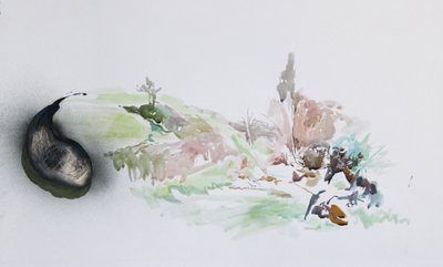 Mucholapka, 2015 (akvarel) od Rob D Davies
