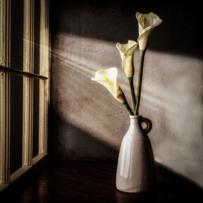Okenní svítidlo Calla Lilies od Rob Ryan