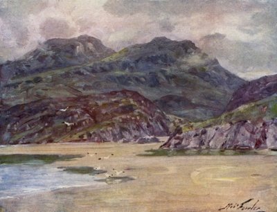 Osamělý břeh poblíž Penudyn Deudraeth (barva litho) od Robert (after) Fowler