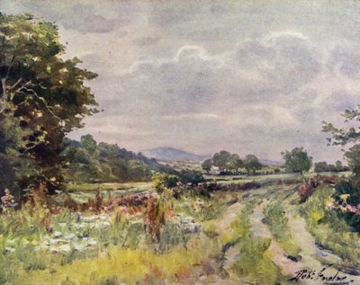 Country Lane (barva lito) od Robert (after) Fowler