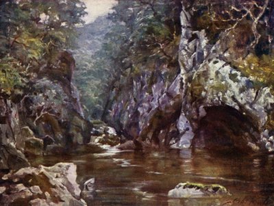 Fairy Glen, Bettws-y-Coed (barva lito) od Robert (after) Fowler
