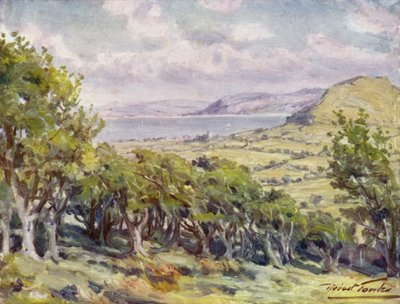Poblíž Colwyn Bay (barevné litho) od Robert (after) Fowler