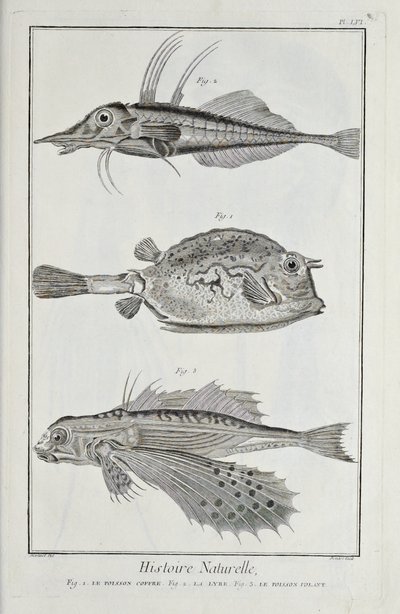 Ilustrace z knihy „Sbírka desek, o vědách, svobodných uměních a mechanických uměních s jejich vysvětlením“ od Denise Diderota od Robert Benard