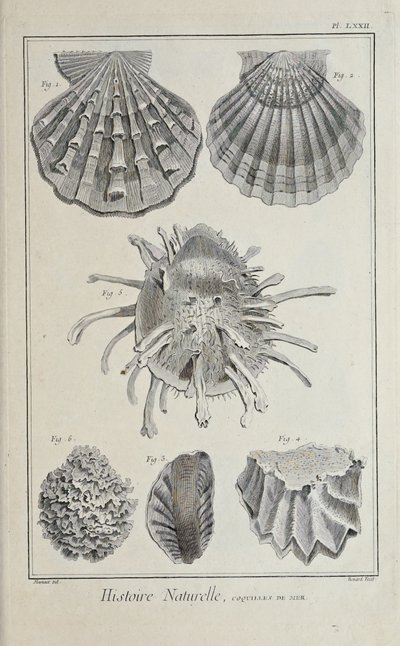 Ilustrace z knihy „Sbírka desek, o vědách, svobodných uměních a mechanických uměních s jejich vysvětlením“ od Denise Diderota od Robert Benard