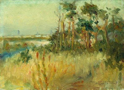 Atlantic City (olej na plátně) od Robert Cozad Henri