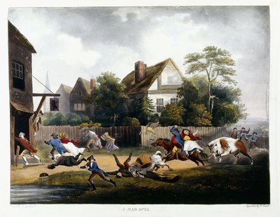 Šílený býk, 1806 od Robert Dodd