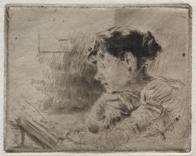 Dívčí čtení, 1883. od Robert Frederick Blum