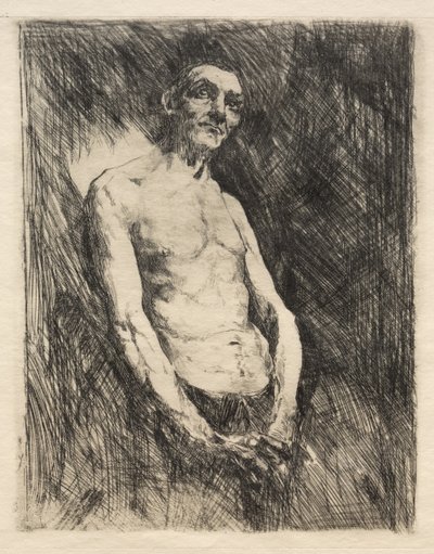 Polonahá postava muže, 19. století. od Robert Frederick Blum