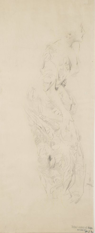 Náčrt ženy v šatech s květinovým vzorem, možná pro nástěnnou malbu Nálady k hudbě, 1893-98 (grafitová a žlutá tužka na lesklém papíru) od Robert Frederick Blum