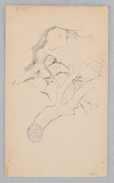 Větev stromu od Robert Frederick Blum