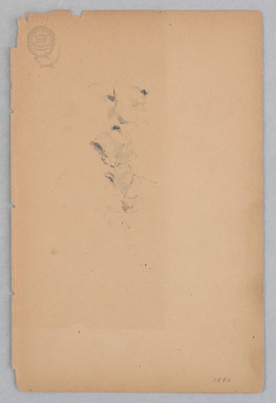 Žena od Robert Frederick Blum