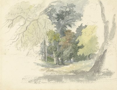 Woodland Glade od Robert Hills