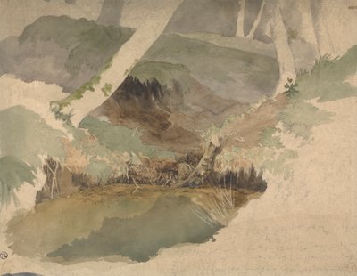 Lesní bazén od Robert Hills