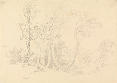 Studie cesmíny od Robert Hills
