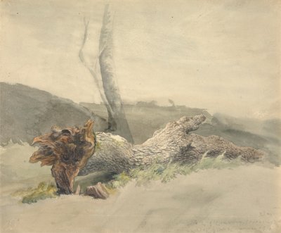 Padlý strom od Robert Hills