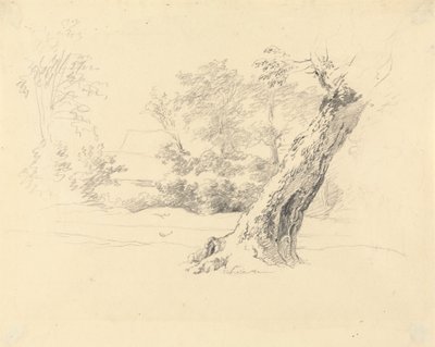 Stromová studie od Robert Hills
