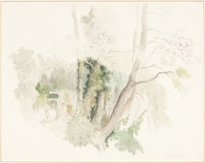  od Robert Hills