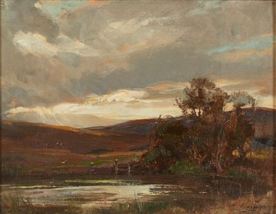 Večer na Swire Road, Ettrick Bridge (olej na plátně) od Robert Hope