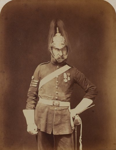 Seržant-major Stewart, 5. dragounská garda (princezna Charlotte z Walesu) od Robert Howlett