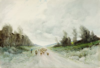 Northumberland Road (wc na papíře) od Robert J. Hewitt