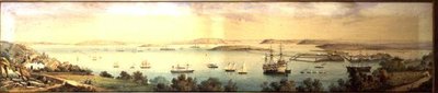 Panoramatický výhled na Cove of Cork od Robert L. Stopford