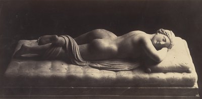 Hermafrodit, ca. 1861. od Robert MacPherson