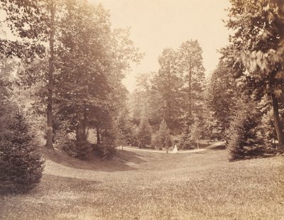 Clarence Howard Clark Estate, z portfolia "Pohledy na Chestnutwold" od Robert Newell
