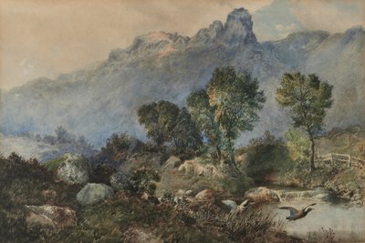 Krajina s divokými kachnami od Robert Scott Temple