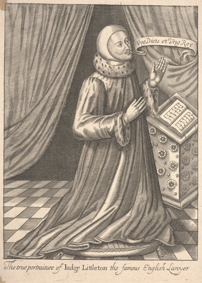 Soudce Littletonová od Robert Vaughan