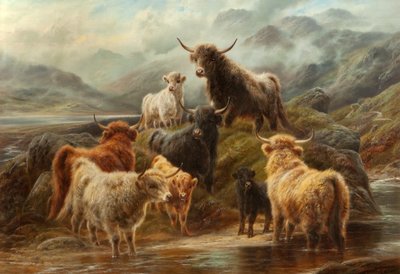 Highland Cattle, 1894 od Robert Watson