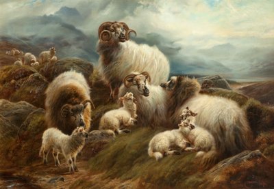 Ovce v krajině, 1894 od Robert Watson