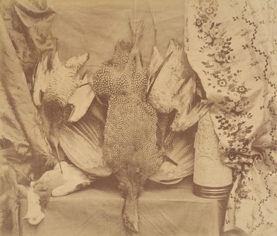 Zátiší a výšivky, 1856. od Robert Wilfred Skeffington Lutwidge