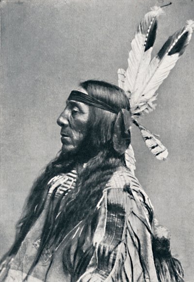 Profilový pohled na Siouxe, 1912 od Robert Wilson Shufeldt