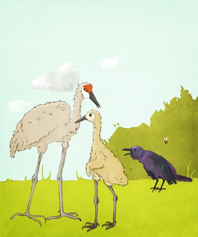 Gus Gus And The Corvid, 2020 (digitální) od Roberta Murray