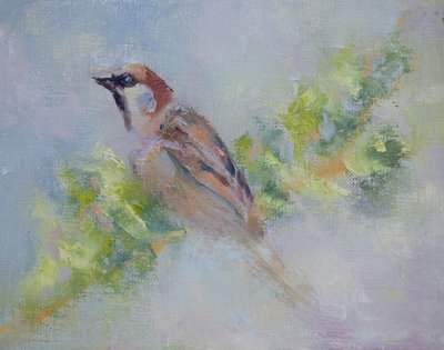 P. Domesticus, 2014 (olej na plátně) od Roberta Murray