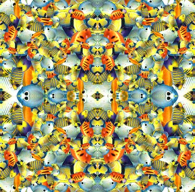 Dlaždice Kaleidoscope Fish od Robyn Parker
