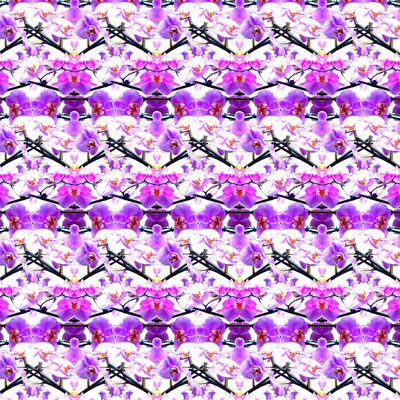 Opakování fialové orchideje od Robyn Parker