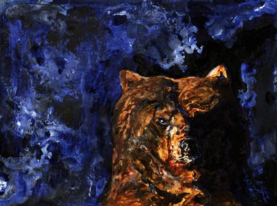 Průrazný pohled grizzlyho od RodMacIver