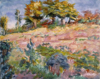Krajina, kolem roku 1910 od Roderic OConor