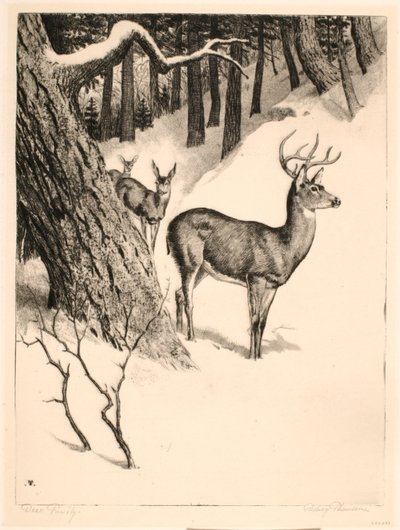 Rodina jelenů od Rodney Thomson