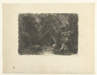 Lesní krajina s potokem a náletovými stromy Le Ruisseau sous bois od Rodolphe Bresdin